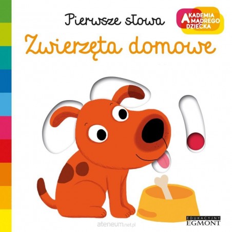 Zwierzęta domowe. Akademia mądrego dziecka