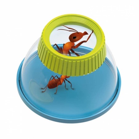 Pudełko do obserwacji owadów robaków - Buki