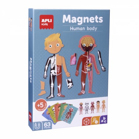 Ciało Człowieka Magnetyczna Układanka - Apli Kids