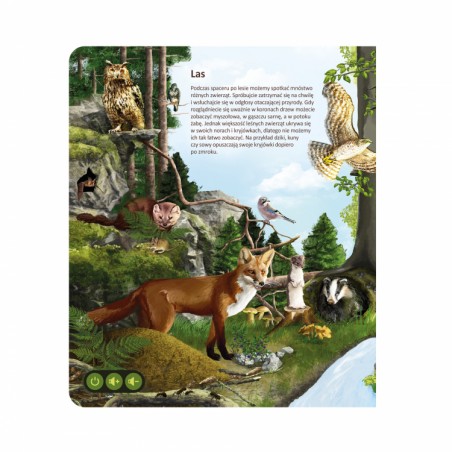 Książka Świat zwierząt - Czytaj z Albikiem