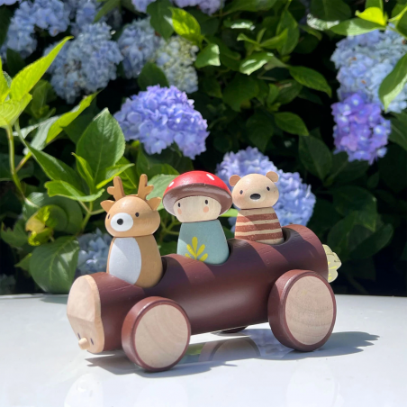 Leśna Taksówka Timber Taxi - Tender Leaf Toys
