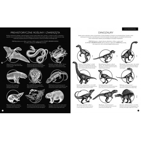 Gabinet Dinozaurów Album z Trójwarstwowymi Ilustracjami