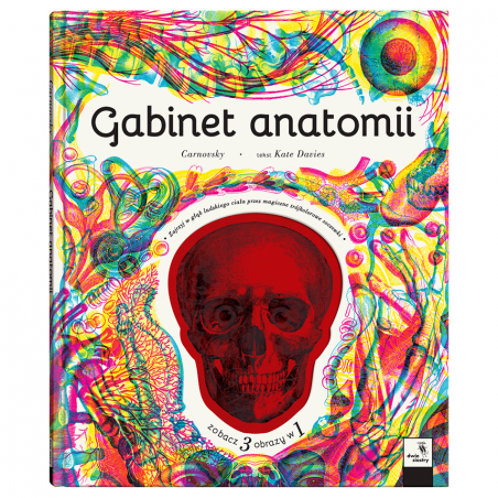 Gabinet Anatomii Album z Trójwarstwowymi Ilustracjami