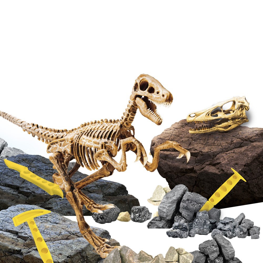 Archeolog dla Dzieci SuperKit Velociraptor - Lisciani