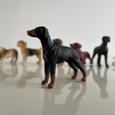 Figurki psów 11 szt. w tubie Safari Ltd.