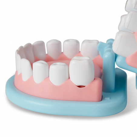 Zestaw Mały Dentysta Super Smile Dentist Kit - Melissa & Doug