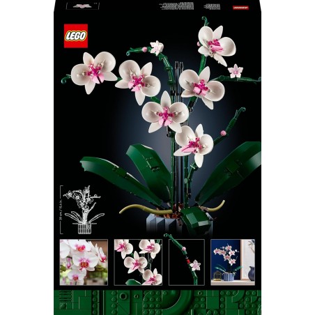 Orchidea kwiaty Lego Icons 10311