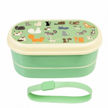 Lunchbox ze sztućcami śniadaniówka Koty Rex London