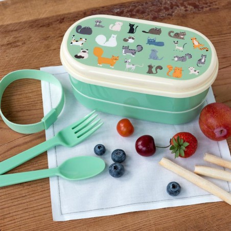 Lunchbox ze sztućcami śniadaniówka Koty Rex London