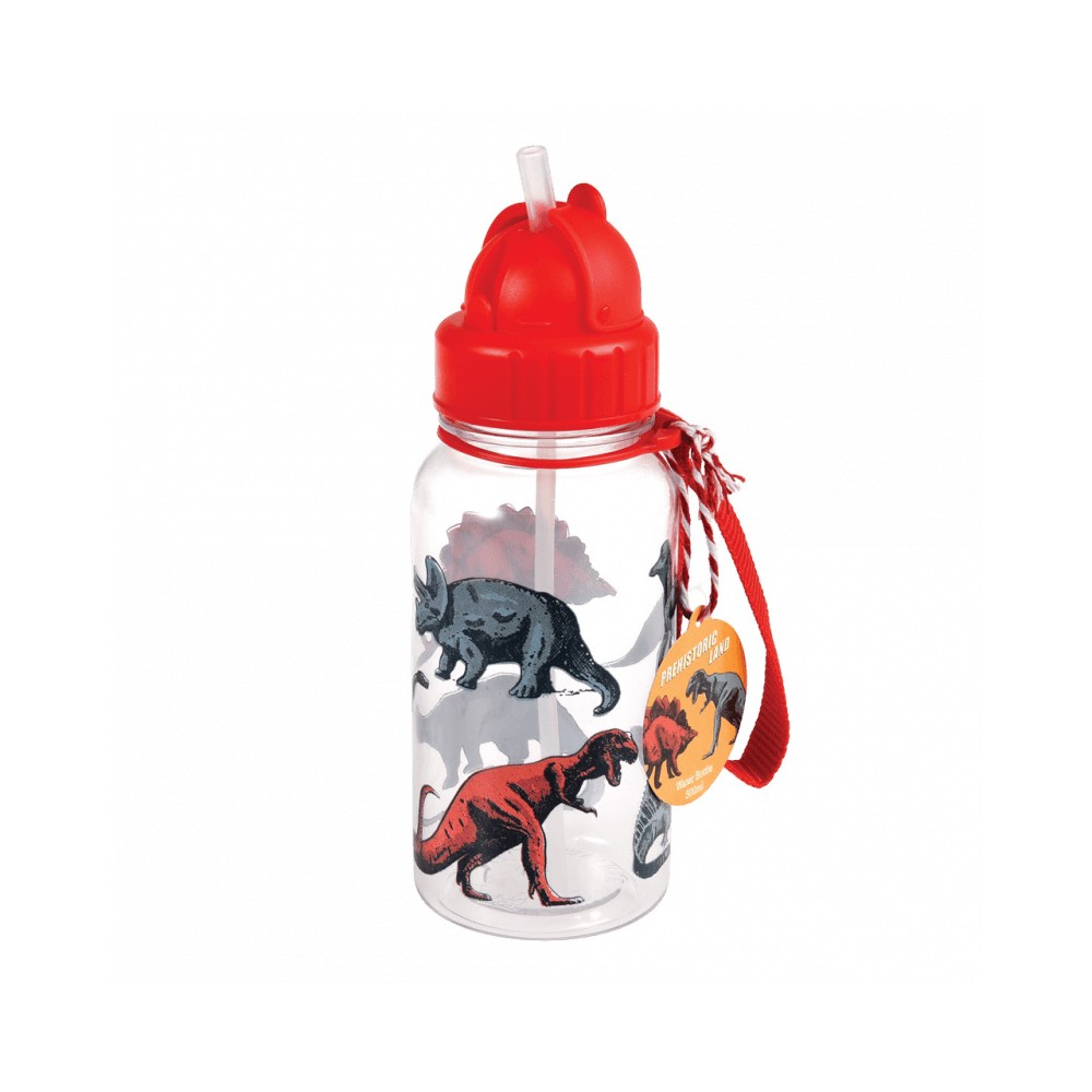 Bidon ze słomką 500 ml Dinozaury Rex London