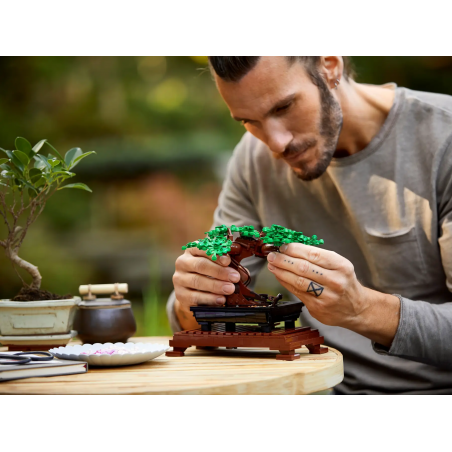 Lego Drzewko bonsai 10281