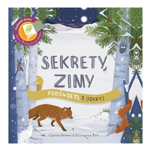 Sekrety Zimy. Podświetl i Odkryj Książka