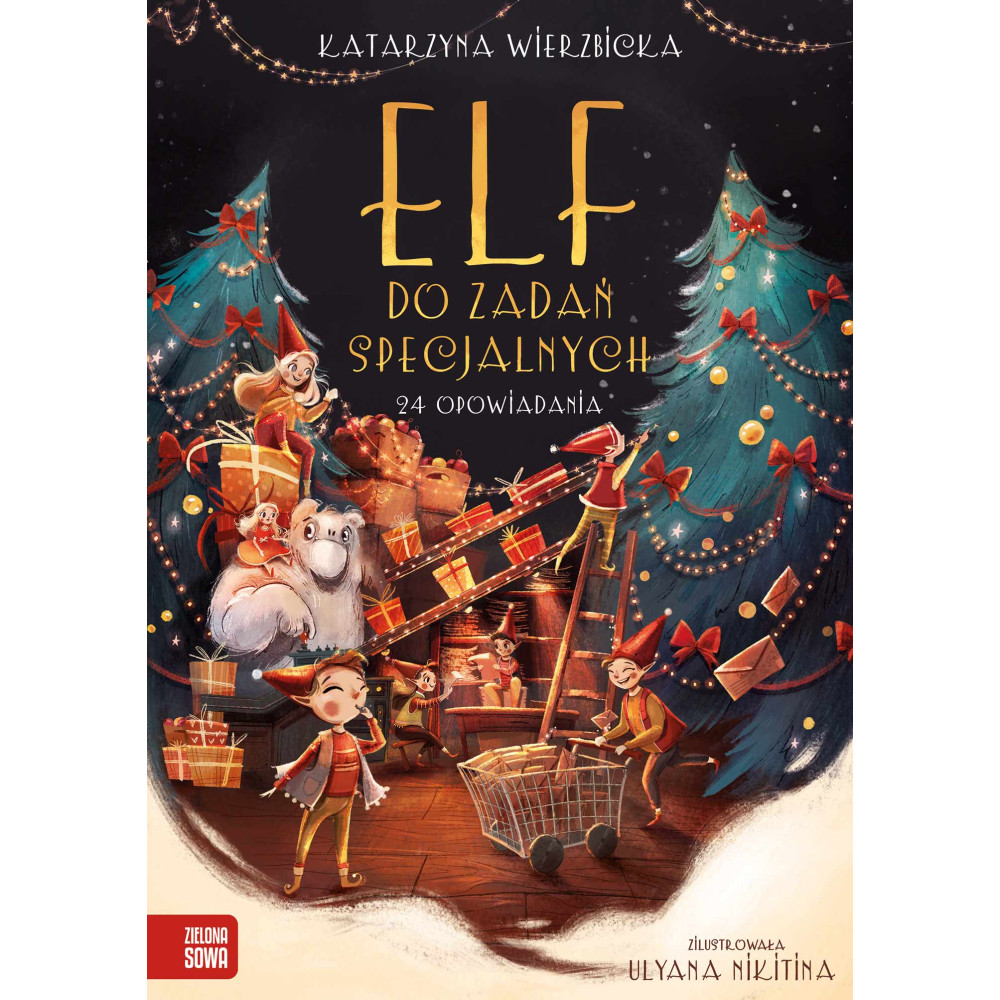 Elf do zadań specjalnych 24 opowiadania