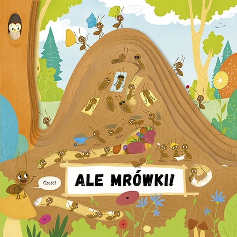 Ale mrówki! Książka Mrowisko Petra Bartikova