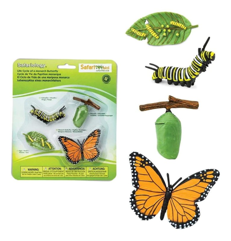 Cykl życia motyla mini figurki 4 el. Safari Ltd.