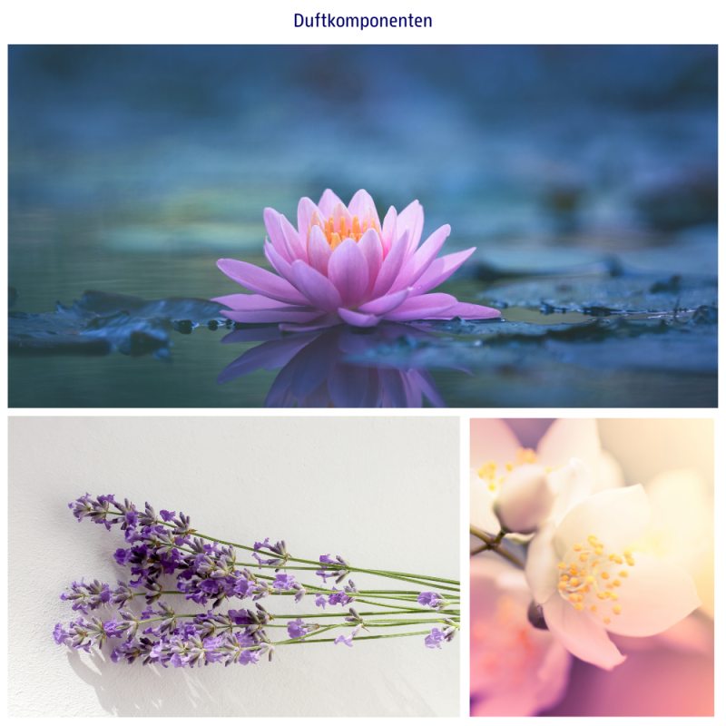 Sól do kąpieli z morza martwego Stress Away Dresdner Essenz