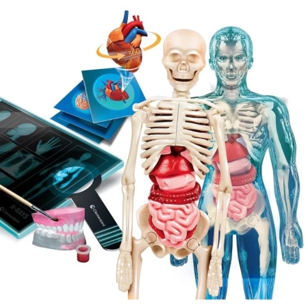 Super Anatomia laboratorium naukowe Clementoni