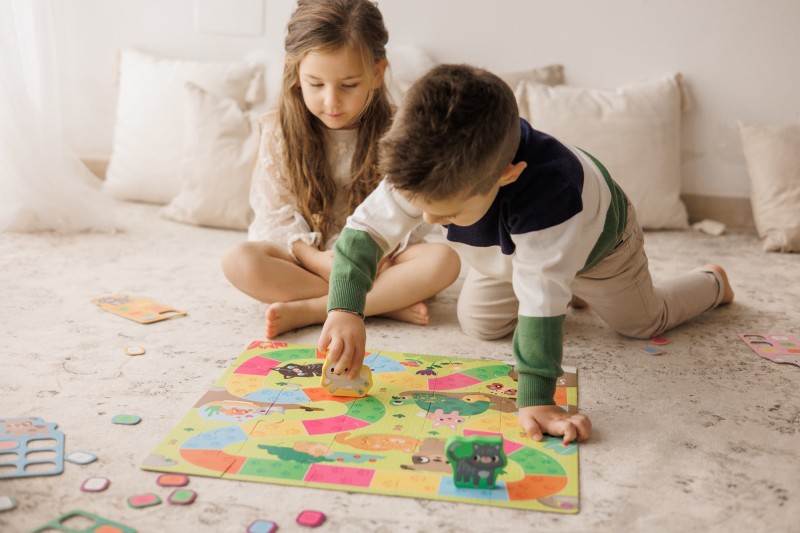 Gra planszowa Jak Zajmować Się Zwierzątkiem Ludattica