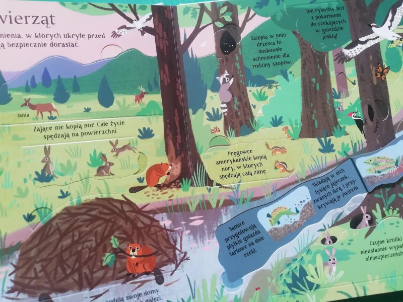 Kryjówki zwierząt bez tajemnic książka Ponad 80 okienek