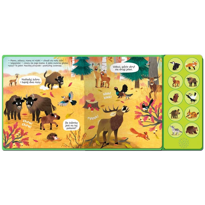 Słuchamy zwierząt! W lesie. 10 odgłosów