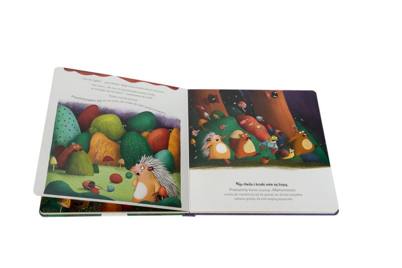 Kraina emocji. Pożegnaj lęk! Książa Ana Serna, Henar Íñigo