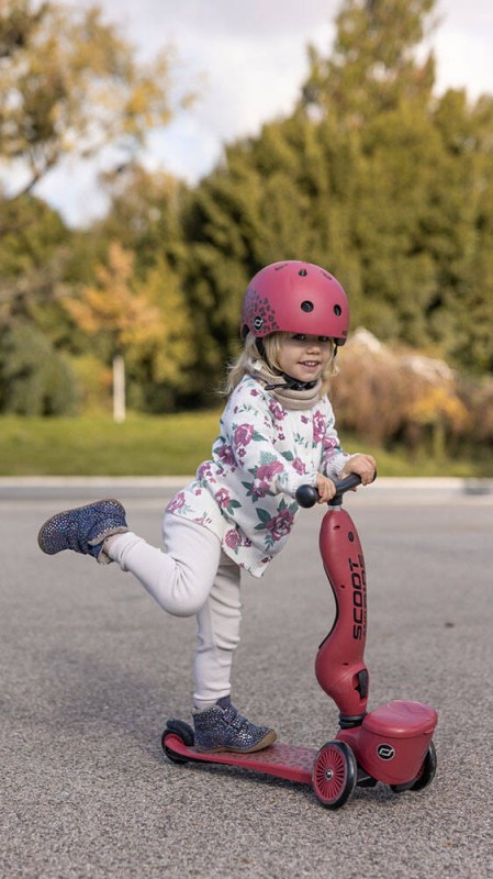 Hulajnoga Jeździk 2w1 ze schowkiem Highwaykick 1 Lifestyle Wildcat Scoot & Ride