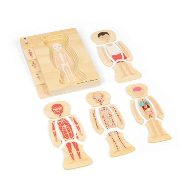 Ciało człowieka chłopiec układanka warstwowa Bigjigs Toys