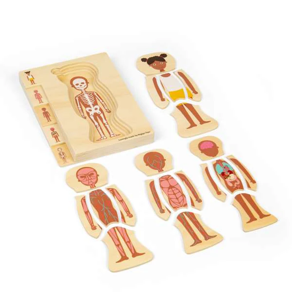 Ciało człowieka dziewczynka układanka warstwowa Bigjigs Toys