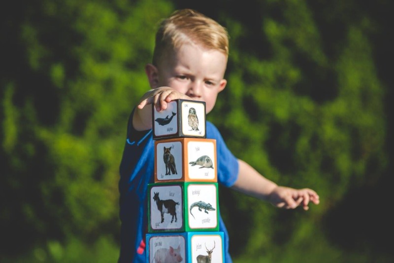 Kartonowe Klocki Wieża Zwierzęta - Piramida Zabaw