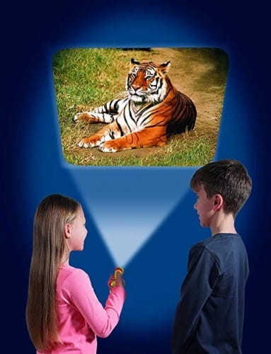 Mini Projektor Latarka Dzikie zwierzęta - Buki