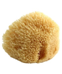 Naturalna Gąbka Morska dla Dzieci i Niemowląt - Poupy