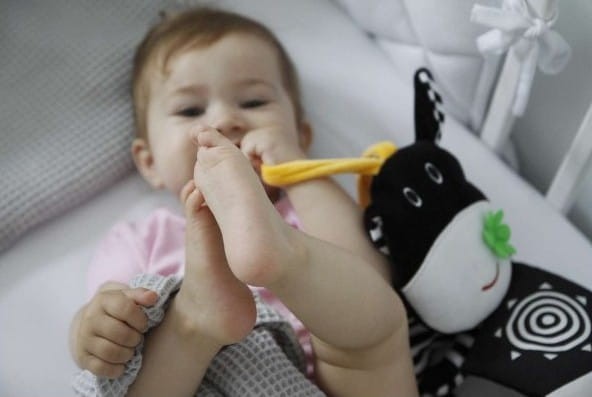 Książeczka Kontrastowa do Łóżeczka Krówka - Mom's Care
