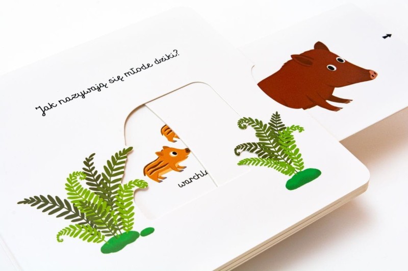 W lesie. Akademia mądrego dziecka