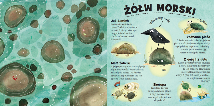 Kto się chowa na lądzie i w wodzie?