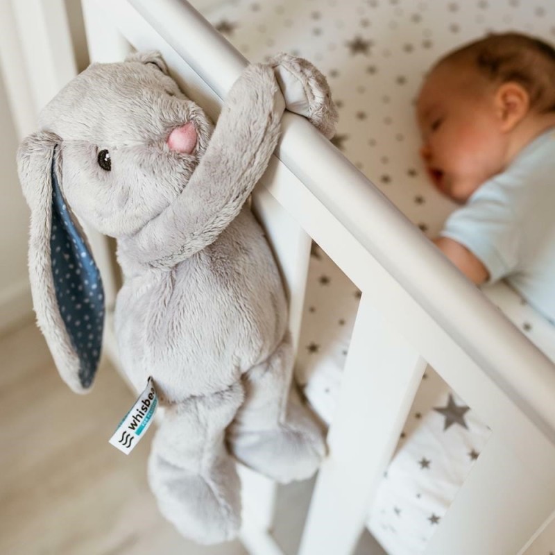 Szumiący Miś Królik Felek- Whisbear