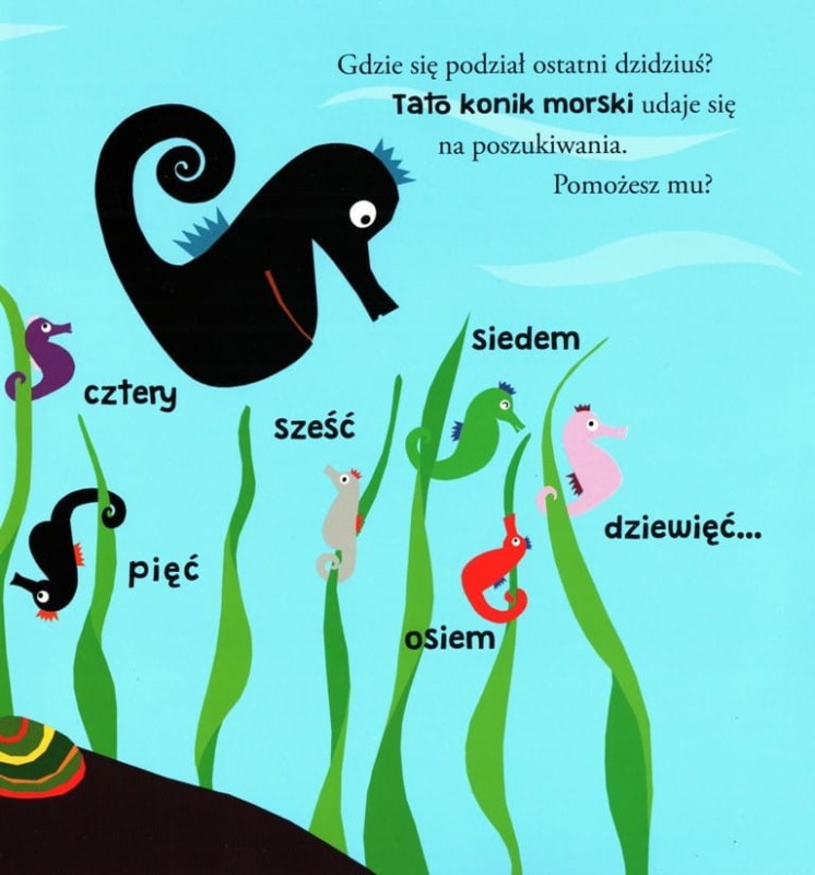 Gdzie jest konik morski? Książka z okienkami.
