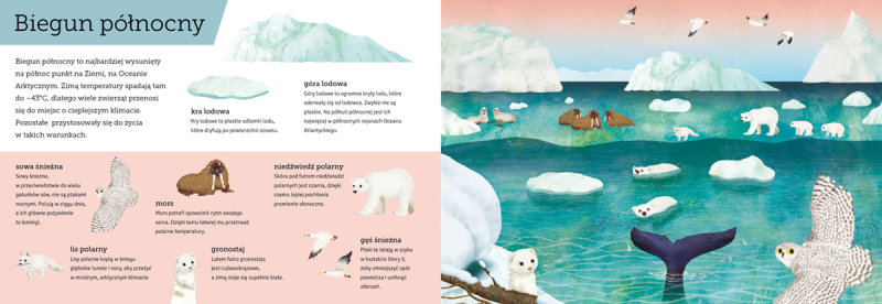 Góra i dół. Zobacz, jak niesamowita jest przyroda