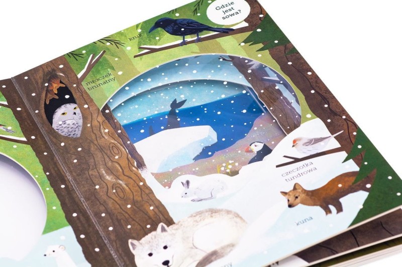 W Arktyce. Akademia mądrego dziecka. Odkryj przyrodę