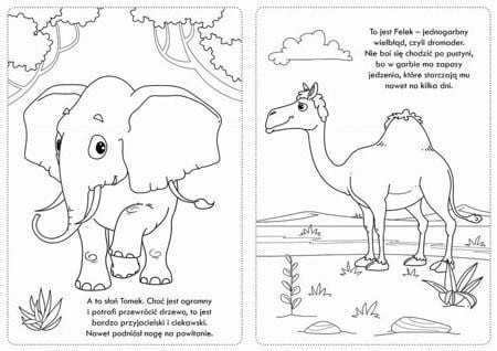 Kolorowanka z naklejkami Niesamowite Safari - 74 naklejki