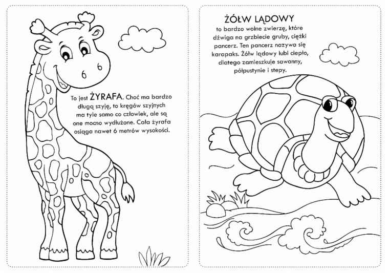 Kolorowanka z naklejkami Wesołe Zoo - 74 naklejki