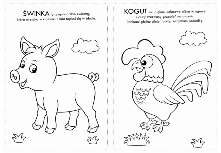 Kolorowanka z naklejkami Zwierzaczki wiejskie - 74 naklejki