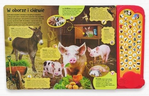 Poznaj mieszkańców zagrody - książka z odgłosami