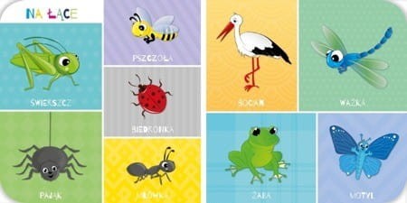 Moje pierwsze 100 zwierząt - Książeczka Obrazkowa