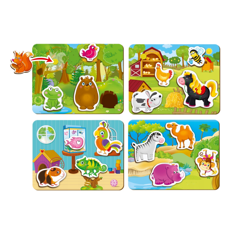 Edukacyjna Gra z Rzepami Kto gdzie mieszka?