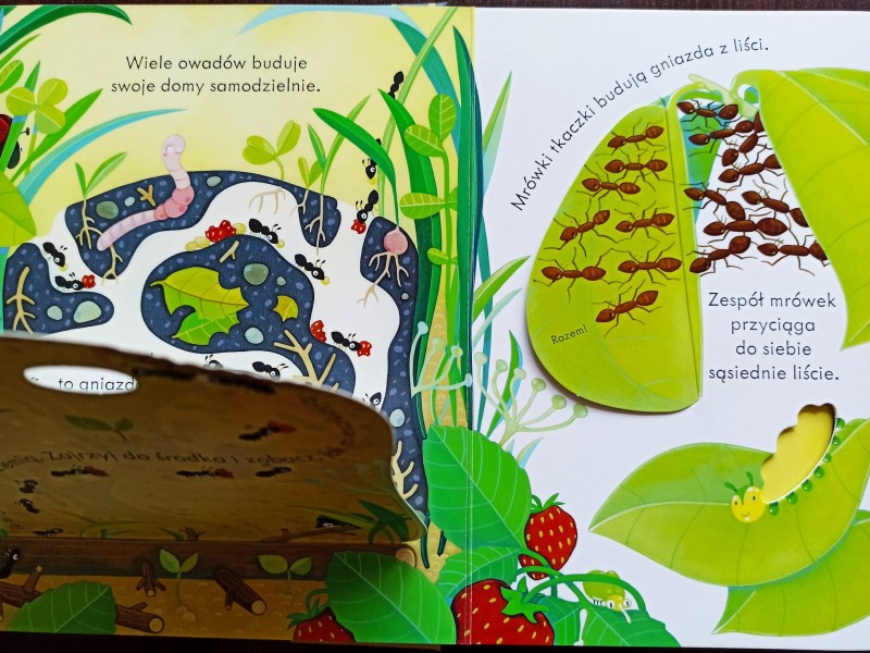 Domy owadów. Zajrzyj do środka. Książka z okienkami
