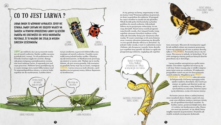 Owadziarium, czyli geniusz owadów