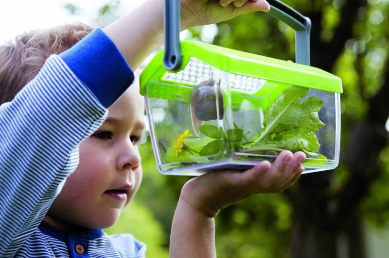 Otwierany Pojemnik na owady Terra Kids - Haba