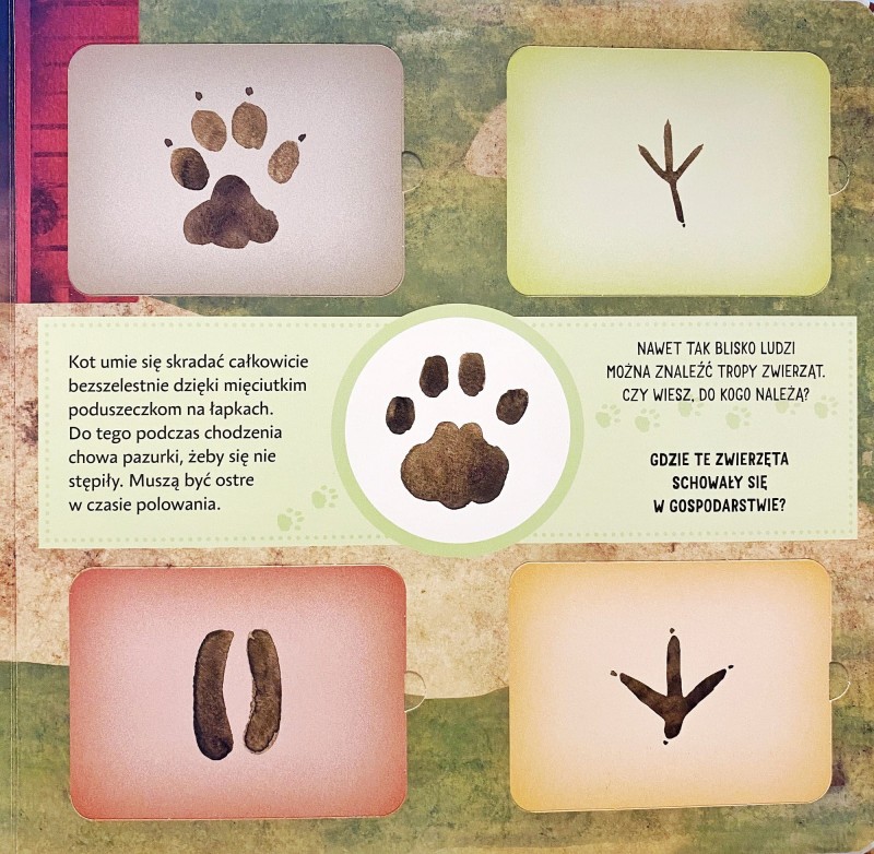 Kto tędy szedł? Książka z Otwieranymi Okienkami - Radka Janská