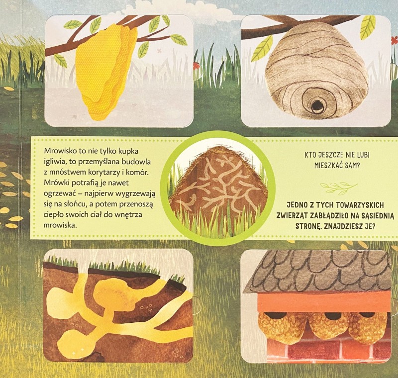 Kto tu mieszka? Książka z Otwieranymi Okienkami - Radka Janská