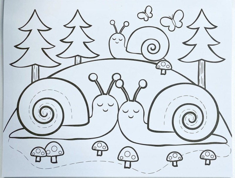 Kolorowanka Leśni Przyjaciele - Ooly